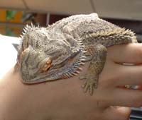 Durch Anklicken gehts zum gro�en Foto